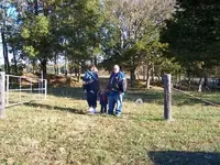 100_5800.webp