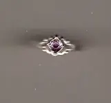 ring.webp