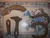 100_0154a.webp