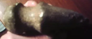 hatchet3.webp