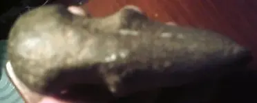 hatchet4.webp
