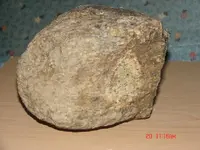 Picture 021.webp