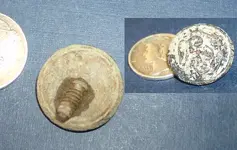 Button Dino Rear.webp