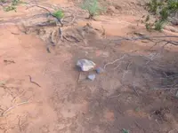 DSCF4903.webp