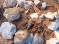DSCF4905.webp