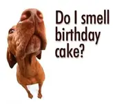 happy_birthday.webp