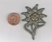 nazi flower.webp