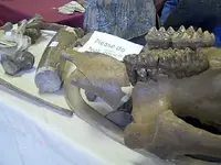 Video 12 0 00 05-26.webp