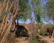 camp1_crop.webp