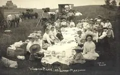 MNlakemarshallpicnic-r_preview.webp