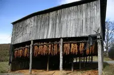 nc tobacco drying barn.webp