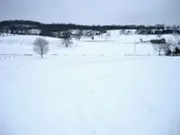 1-30-10.webp
