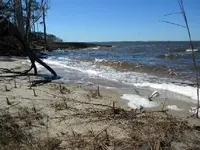 DSCN0457.webp