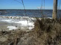 DSCN0458.webp