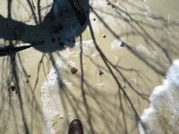DSCN0459.webp