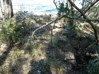 DSCN0461.webp