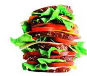 giant_sandwich001b.webp