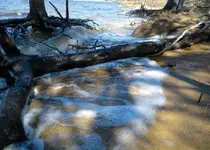 DSCN0463.webp