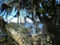 DSCN0464.webp