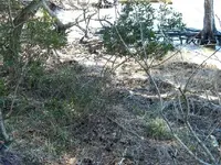 DSCN0466.webp