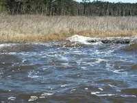 DSCN0473.webp