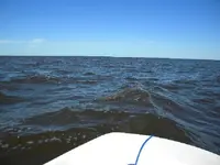 DSCN0474.webp