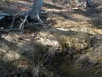 DSCN0475.webp