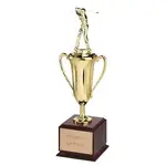 trophy.webp