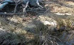 DSCN0476.webp