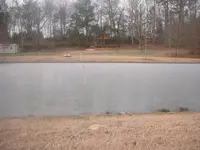 pond1.webp