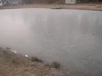 pond2.webp