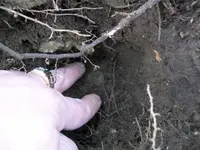 MARCH 5TH COLONIAL BARN HOLE UP STREET 004 [].webp