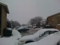 Winter 004.webp