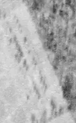 New Image38.webp
