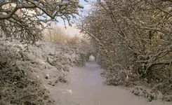 a s a 020.webp