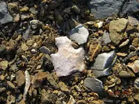 DSCN1412.webp