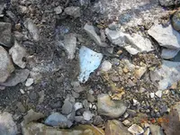 DSCN1414.webp
