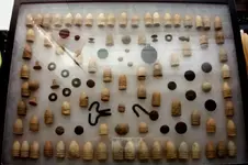 Bearrelics.webp