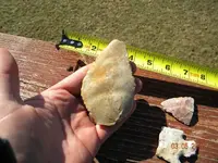 DSCN1420.webp