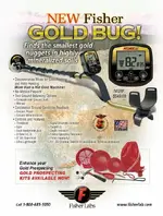 Goldbug1.webp