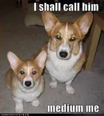 ATT00004.webp