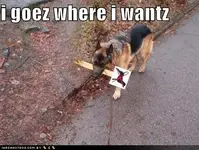 ATT00010.webp