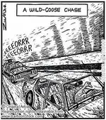 Wild Goose Chase.webp