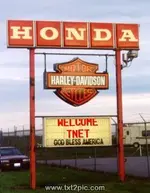 Harley.webp