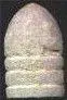 MuseumSolidBaseGallager.webp