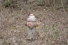 Roosevelt Heights 002 (Small).webp