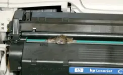 printer mouse.webp