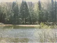 LastScan.webp