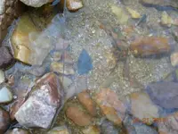 DSCN7900.webp