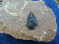 DSCN7903.webp